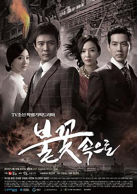 合肥网站优化怎么样